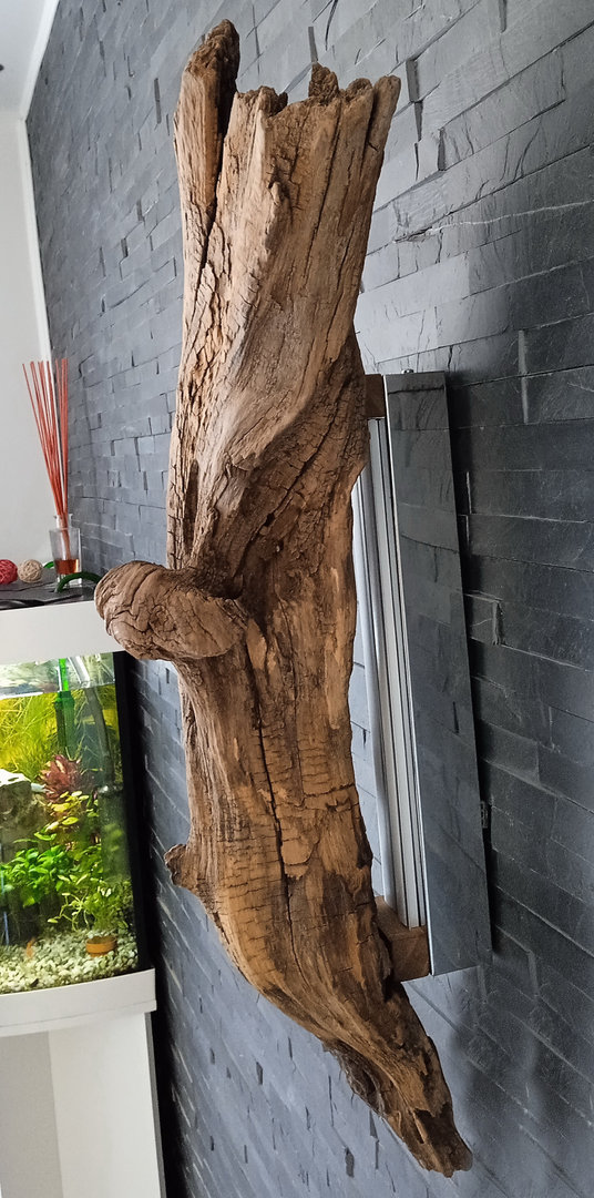 Dekorative Wandleuchte aus Treibholz Holzlampe Unikat Eiche